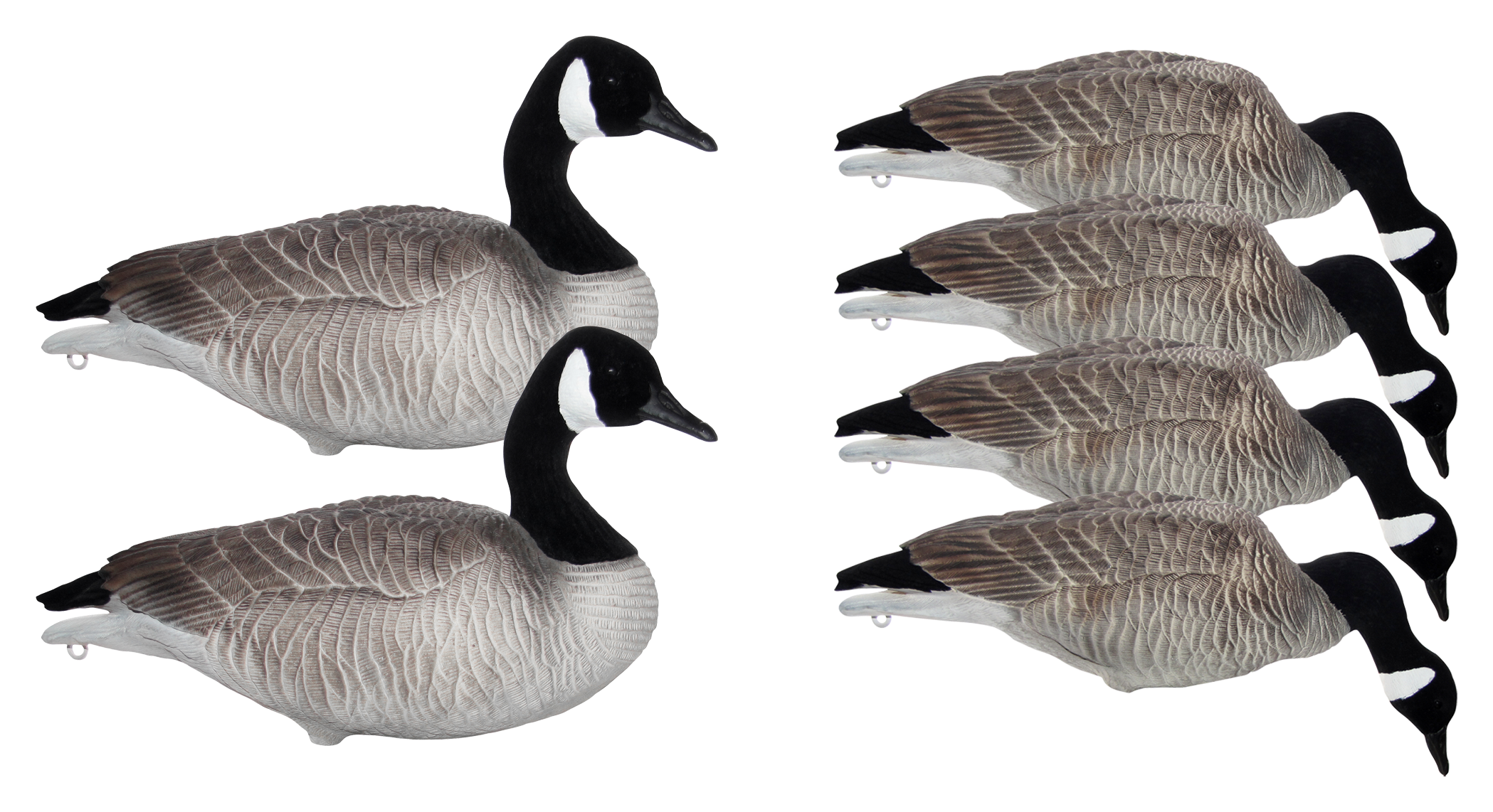 Mayhem Decoys Flocked-Head Full-Body Lesser Canada Goose Decoy Pack ...